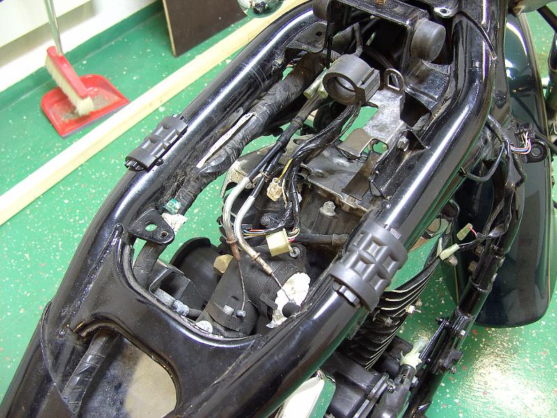 BILD0152.JPG - 32