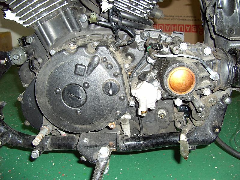 BILD0156.JPG - 38