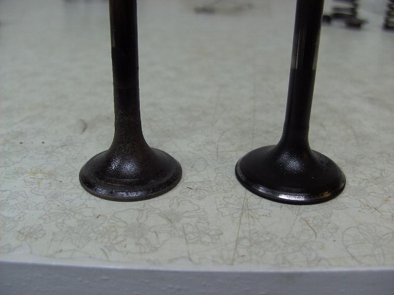BILD0252.JPG - 125