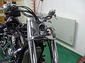 BILD0733b