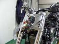 BILD0781