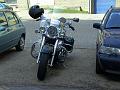 BILD0811b